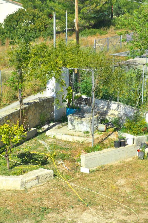 Aegina Georgia'S Houseヴィラ エクステリア 写真