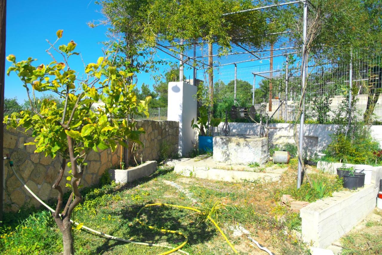 Aegina Georgia'S Houseヴィラ エクステリア 写真